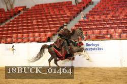 18BUCK_01464 proof