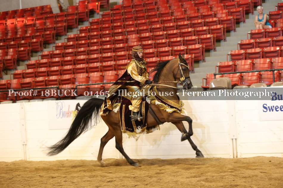 Proof 18BUCK_01465