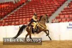 18BUCK_01465 proof