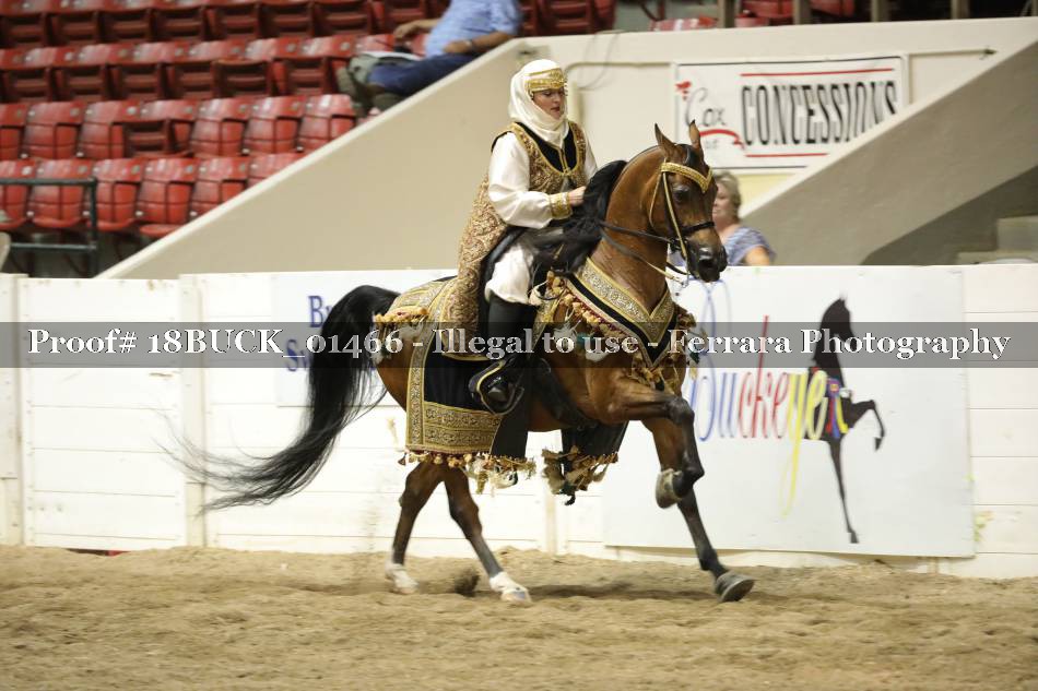 Proof 18BUCK_01466