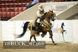 18BUCK_01466 proof