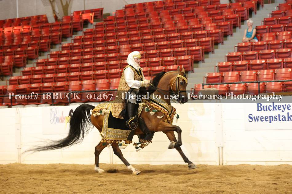 Proof 18BUCK_01467