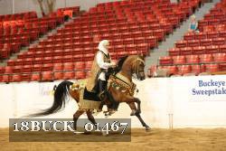 18BUCK_01467 proof