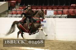 18BUCK_01468 proof
