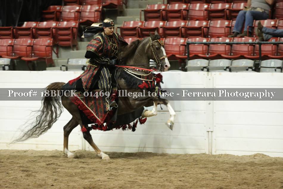 Proof 18BUCK_01469