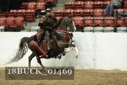 18BUCK_01469 proof