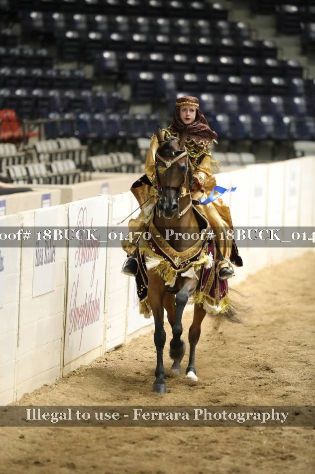 Proof 18BUCK_01470