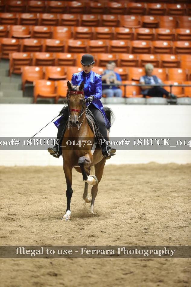 Proof 18BUCK_01472