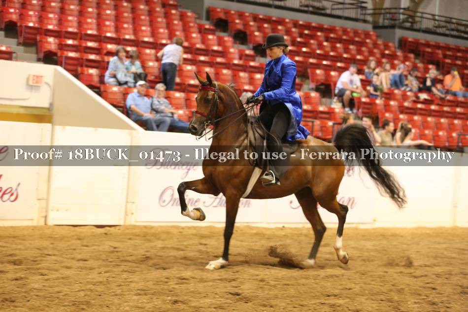 Proof 18BUCK_01473