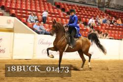 18BUCK_01473 proof