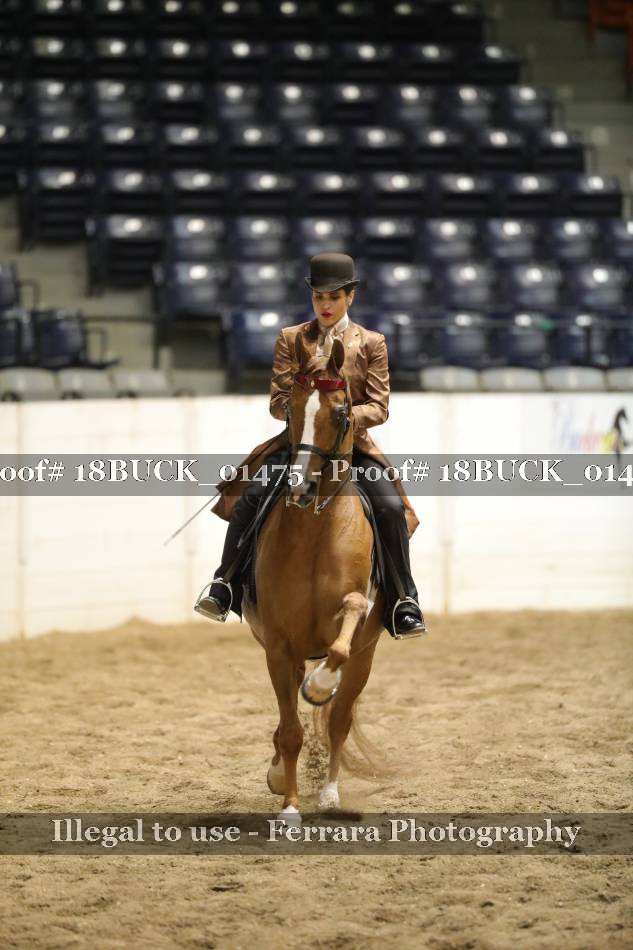 Proof 18BUCK_01475