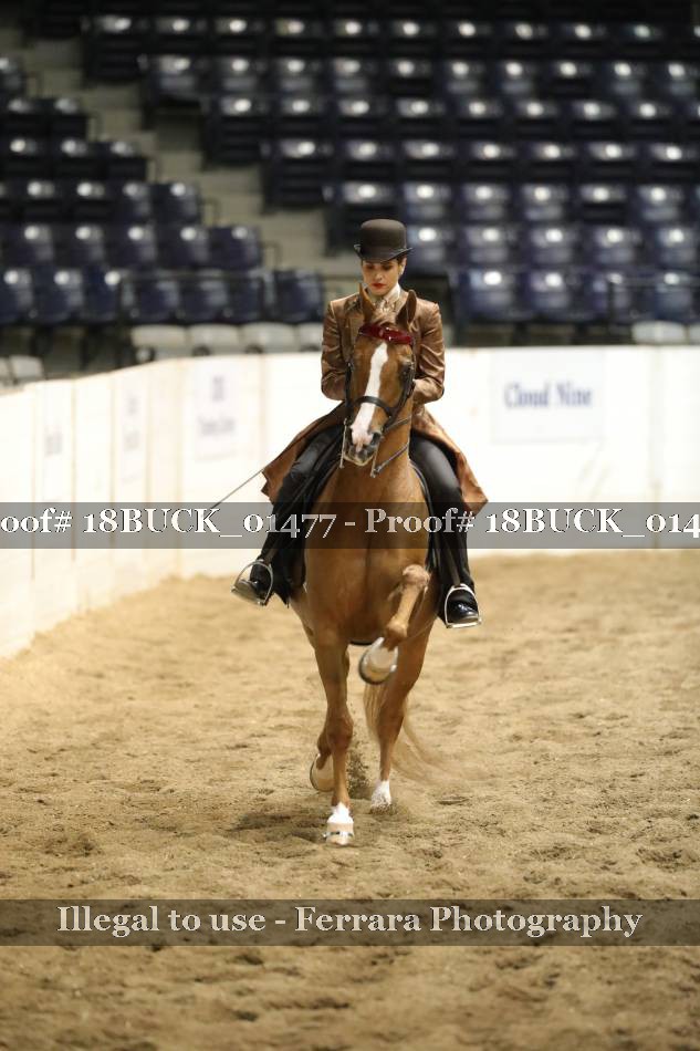 Proof 18BUCK_01477