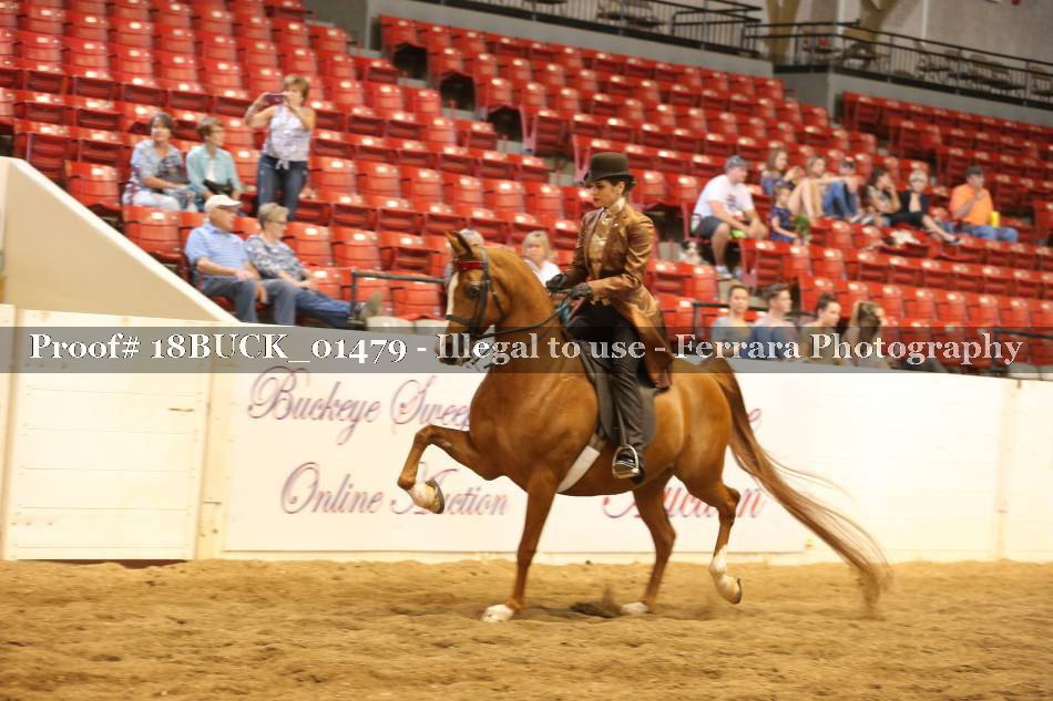 Proof 18BUCK_01479