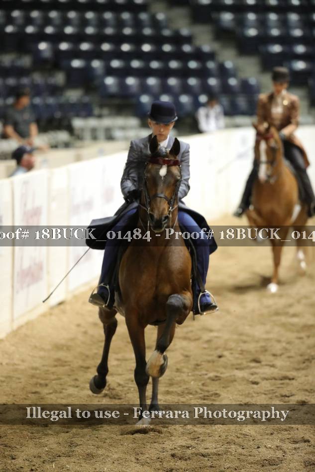 Proof 18BUCK_01484