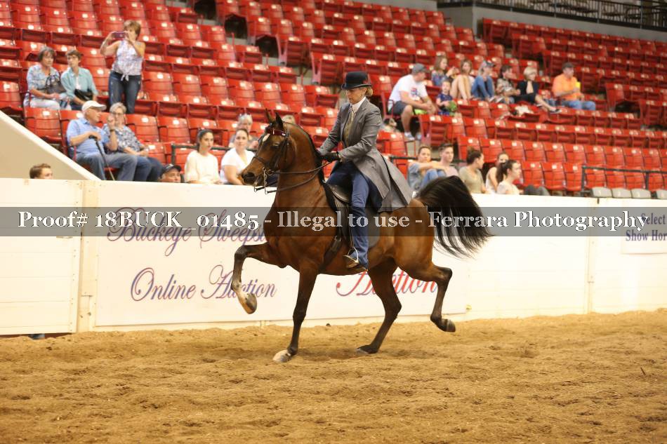Proof 18BUCK_01485