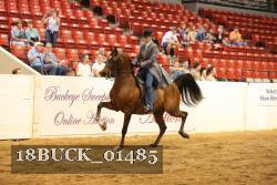 18BUCK_01485 proof