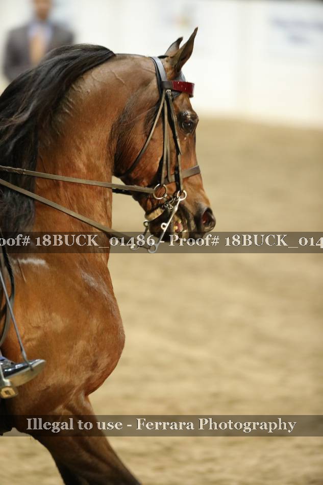 Proof 18BUCK_01486