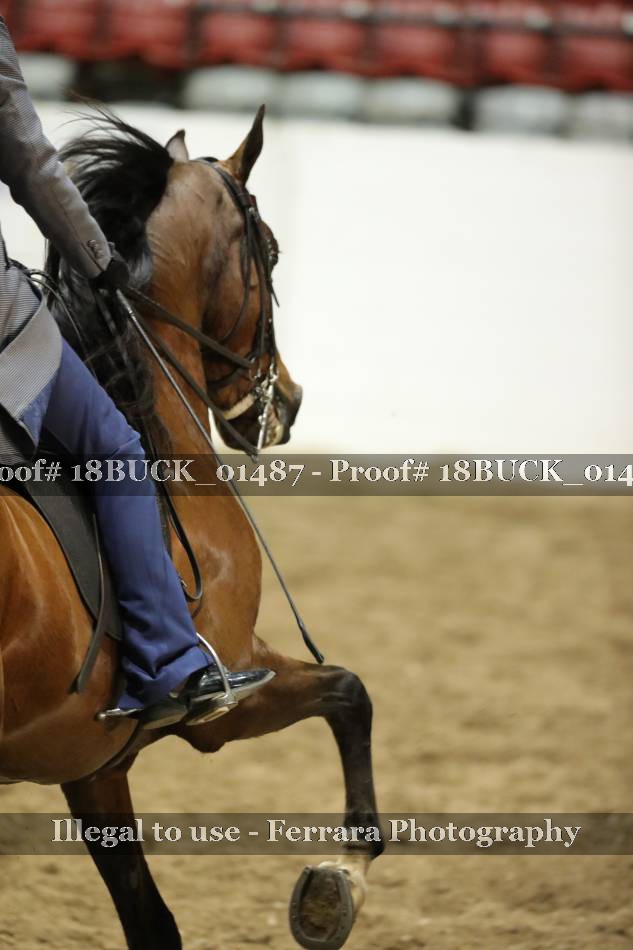 Proof 18BUCK_01487