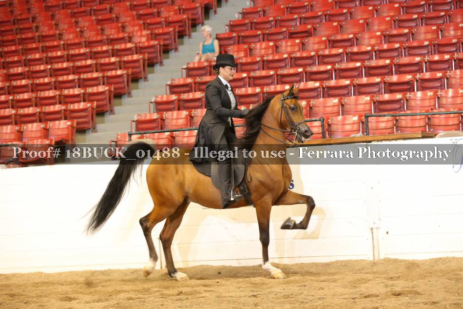 Proof 18BUCK_01488