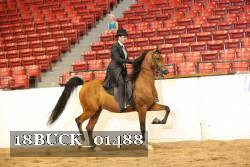 18BUCK_01488 proof