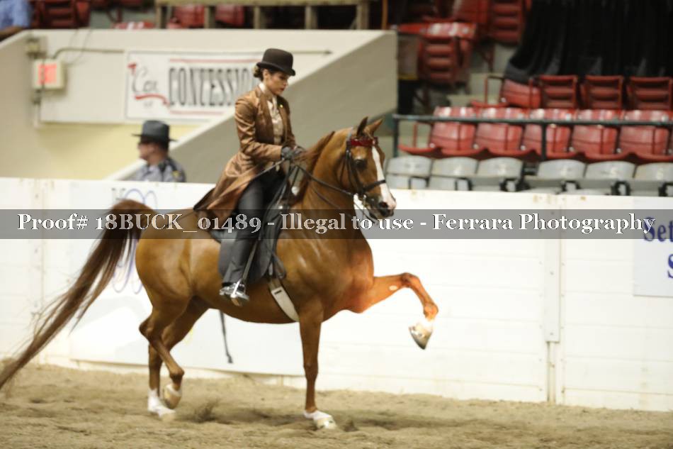 Proof 18BUCK_01489