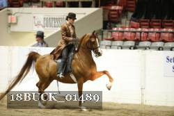 18BUCK_01489 proof