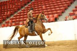 18BUCK_01490 proof