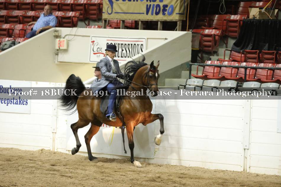 Proof 18BUCK_01491