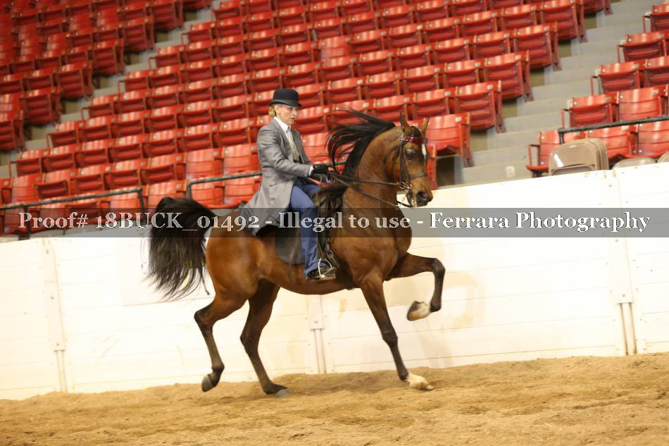 Proof 18BUCK_01492