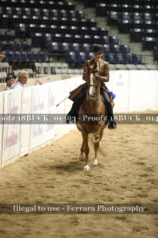 Proof 18BUCK_01493
