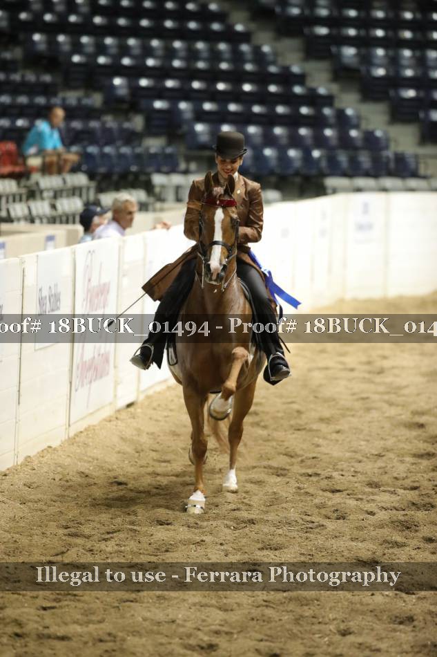 Proof 18BUCK_01494