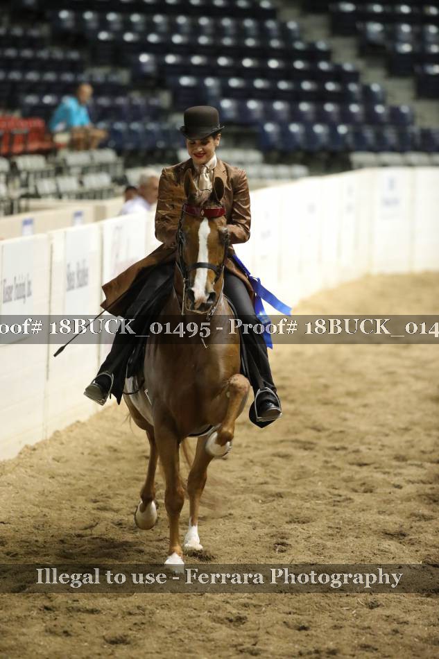 Proof 18BUCK_01495