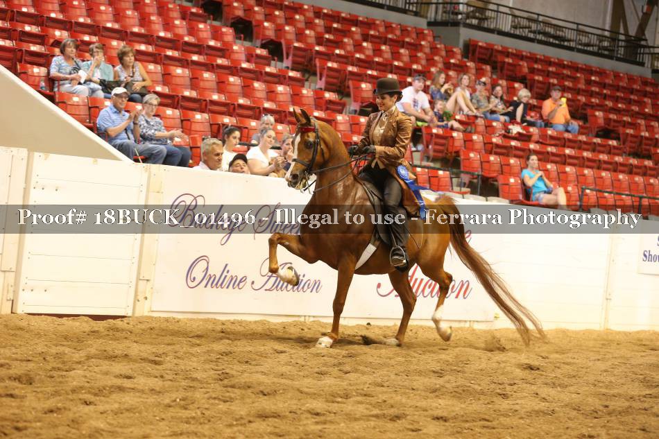 Proof 18BUCK_01496