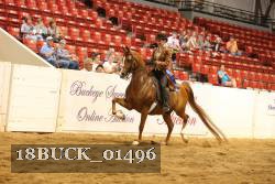 18BUCK_01496 proof
