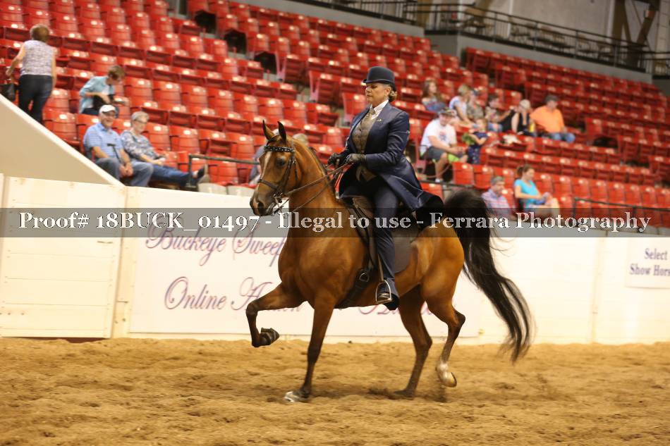 Proof 18BUCK_01497
