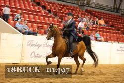 18BUCK_01497 proof