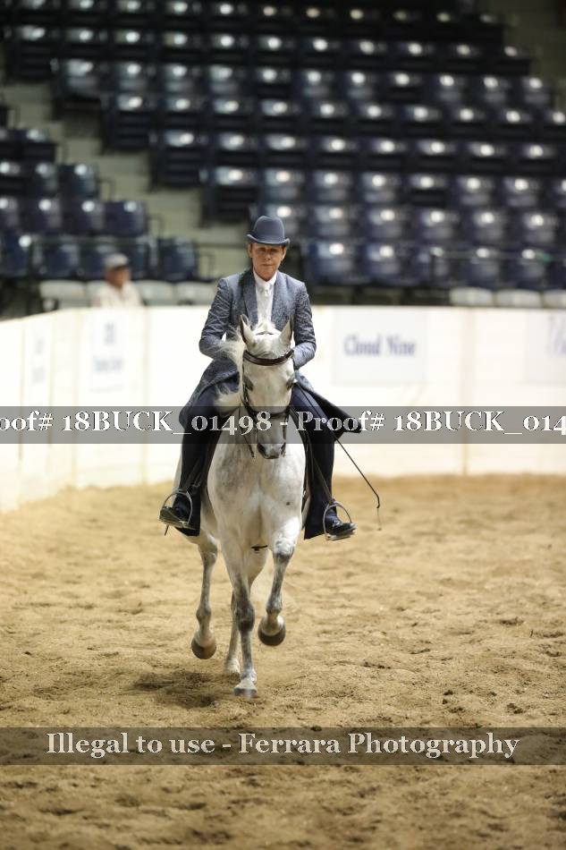 Proof 18BUCK_01498