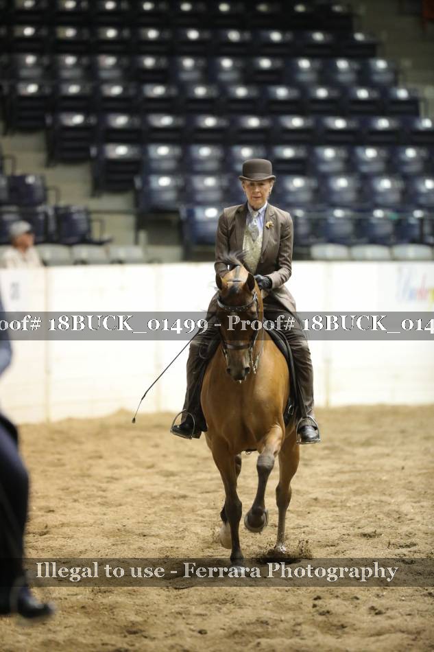 Proof 18BUCK_01499