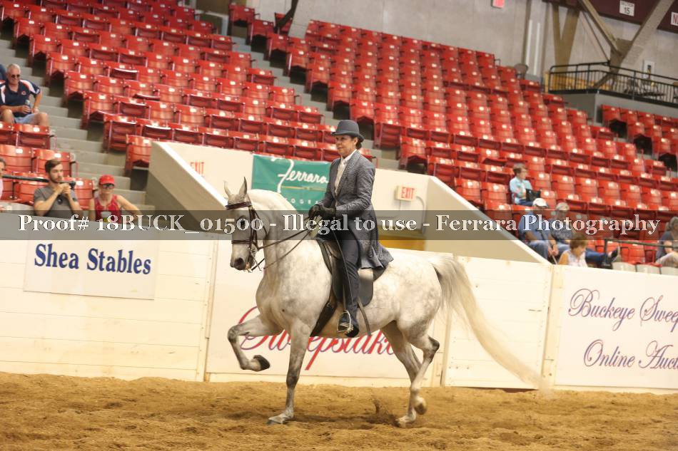 Proof 18BUCK_01500