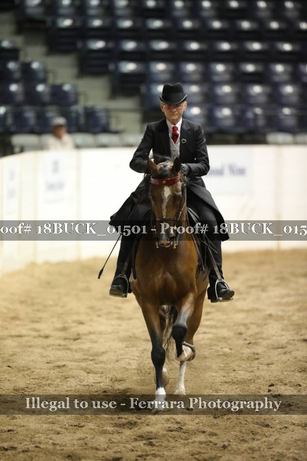 Proof 18BUCK_01501
