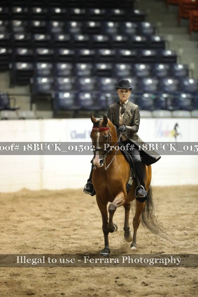 Proof 18BUCK_01502