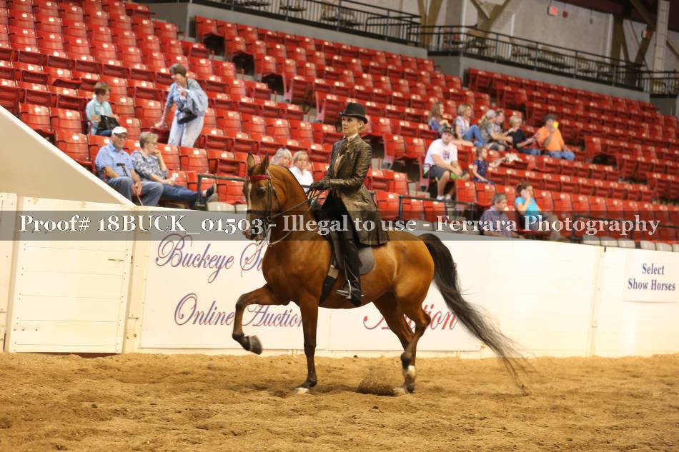 Proof 18BUCK_01503