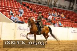 18BUCK_01503 proof