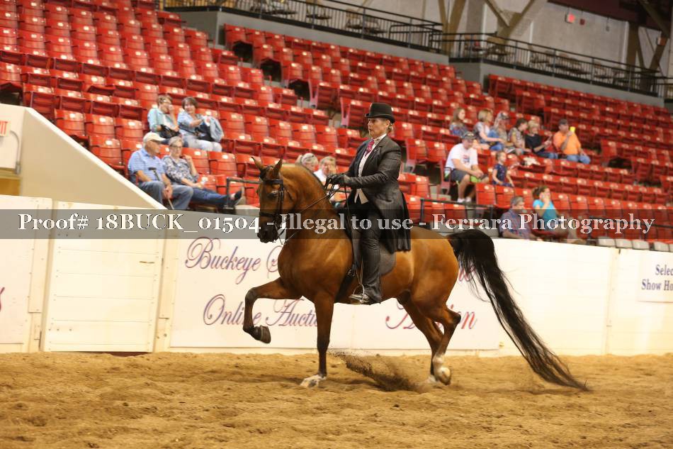 Proof 18BUCK_01504
