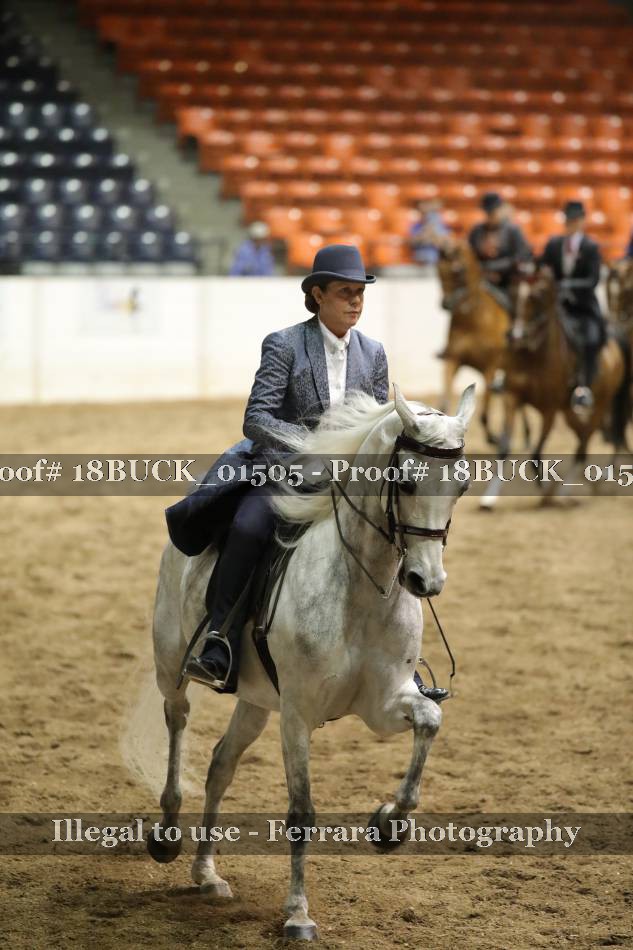 Proof 18BUCK_01505