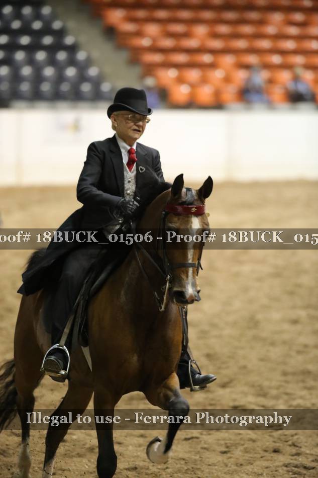 Proof 18BUCK_01506