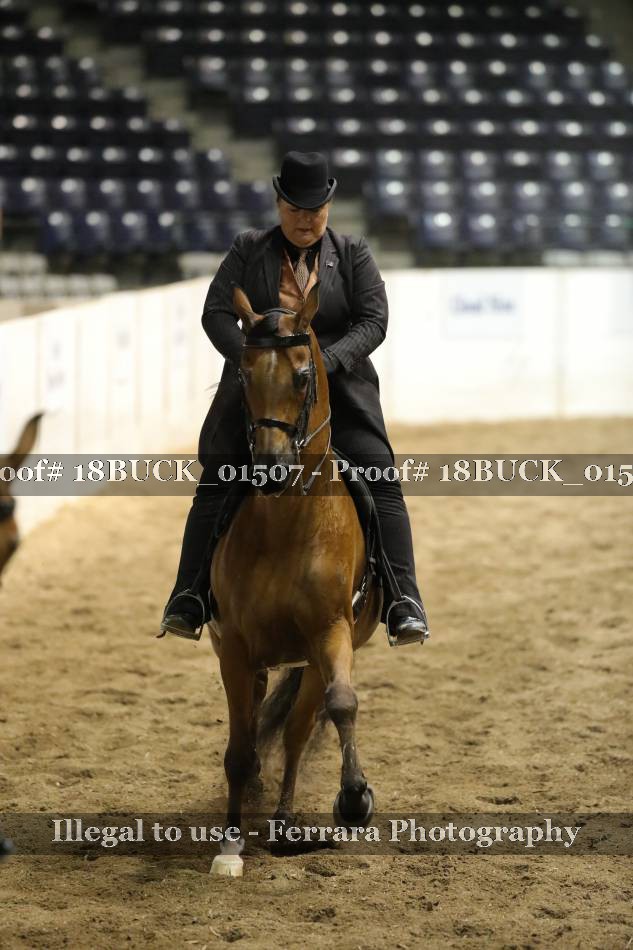 Proof 18BUCK_01507