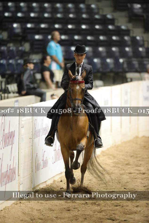 Proof 18BUCK_01508