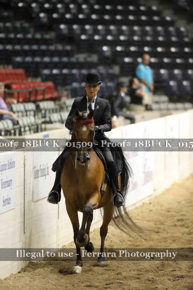 Proof 18BUCK_01509