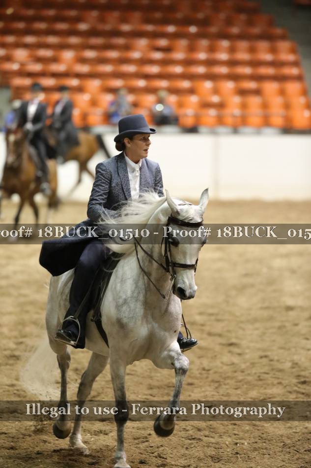 Proof 18BUCK_01510